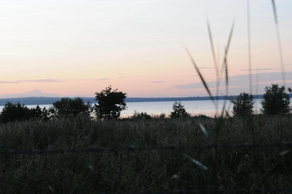 Bay Cottage Bed & Breakfast Crumlin  Екстер'єр фото